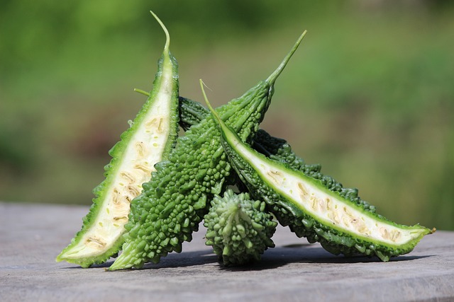 Positive Effects of Bitter Gourd on the Human Body