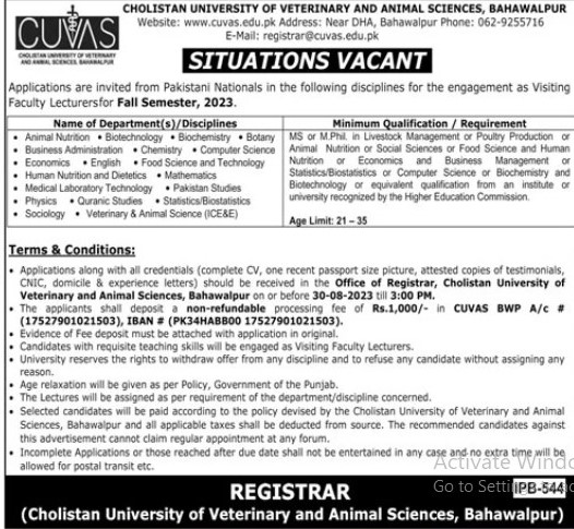 Positions for Faculty Members Posted Vacant in Cholistan University Of Veterinary and Animal Sciences