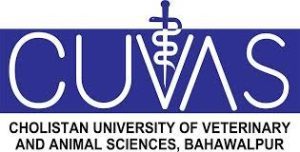 Positions for Faculty Members Posted Vacant in Cholistan University Of Veterinary and Animal Sciences