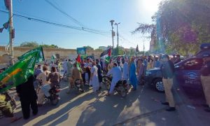 Rally at University of Okara in Solidarity with Palestinians