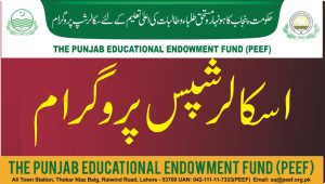 Government Announces PEEF Intermediate and Graduation Scholarship 2023-24/ Online Apply at Student.peef.org.pk 