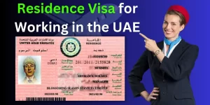 UAE Visit Visa Fee Update For Pakistanis December 2023