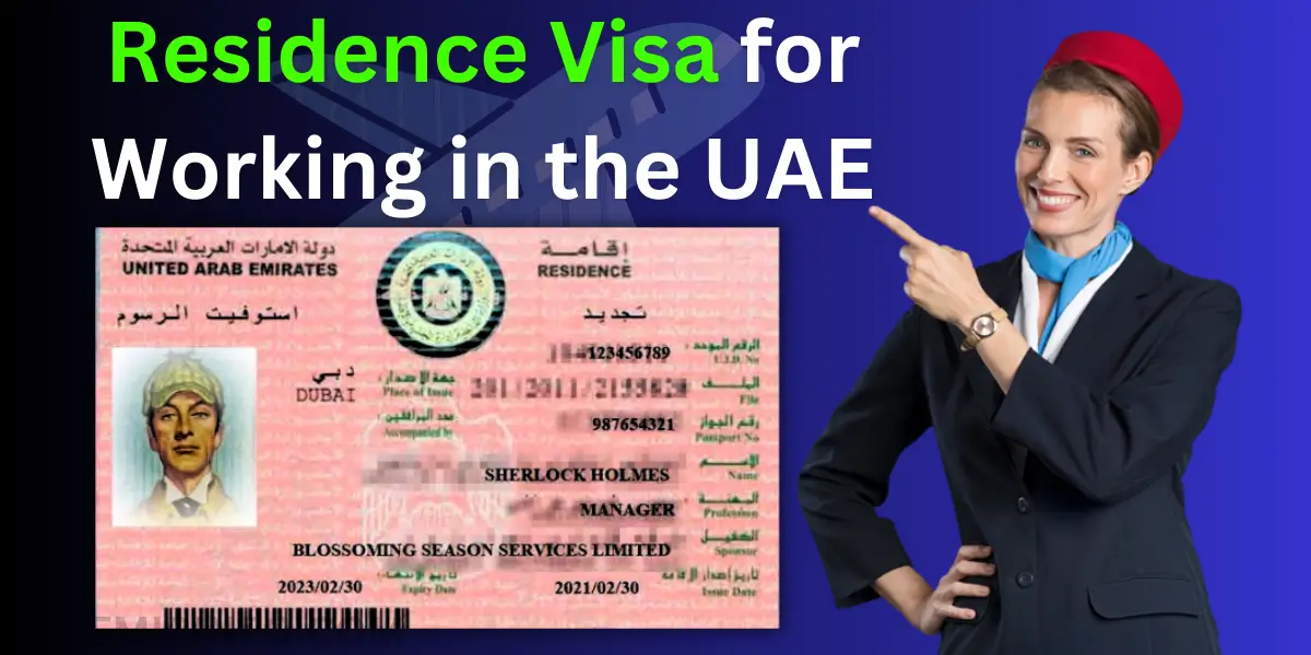 UAE Visit Visa Fee Update For Pakistanis December 2023