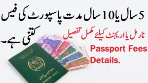 10-Year Passport Fees in Pakistan for January 2024