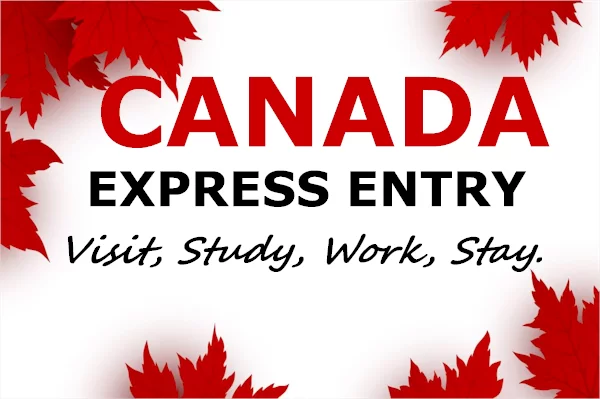 Canada Express Entry: Programs, Eligibility, Requirement, and Fees in Pakistan in 2024