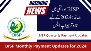 BISP Monthly Stipends Increased: Check Eligibility, Apply online at www.bisp.gov.pk